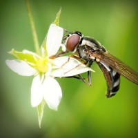 /album/infoescolarweb/photolia-a02-jpg/