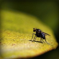/album/infoescolarweb/photolia-a07-jpg/